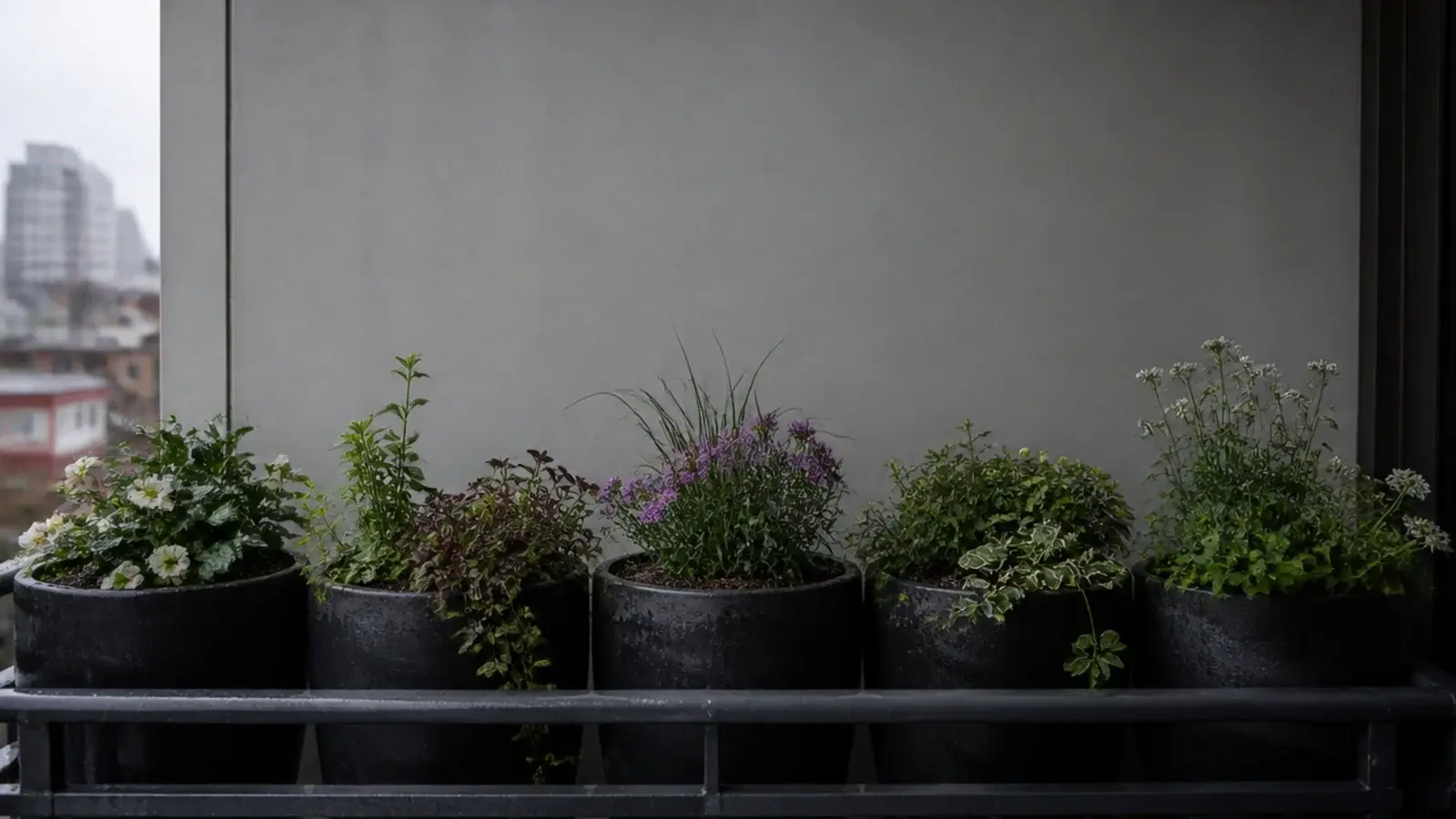 row of large heavy planters massed along the outer edge of a balcony