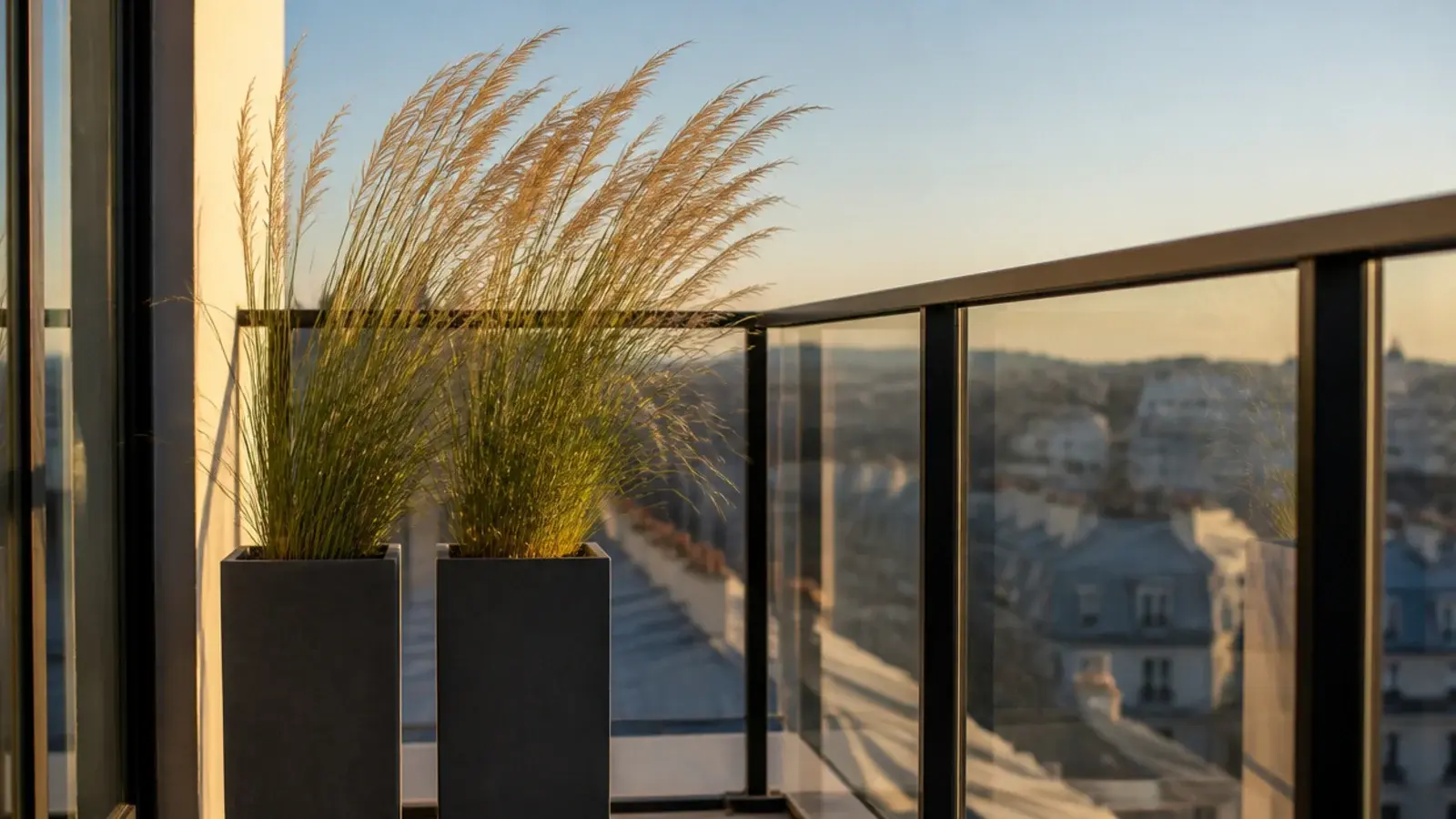 ornamental grasses swaying in tall pots on a high floor balcony