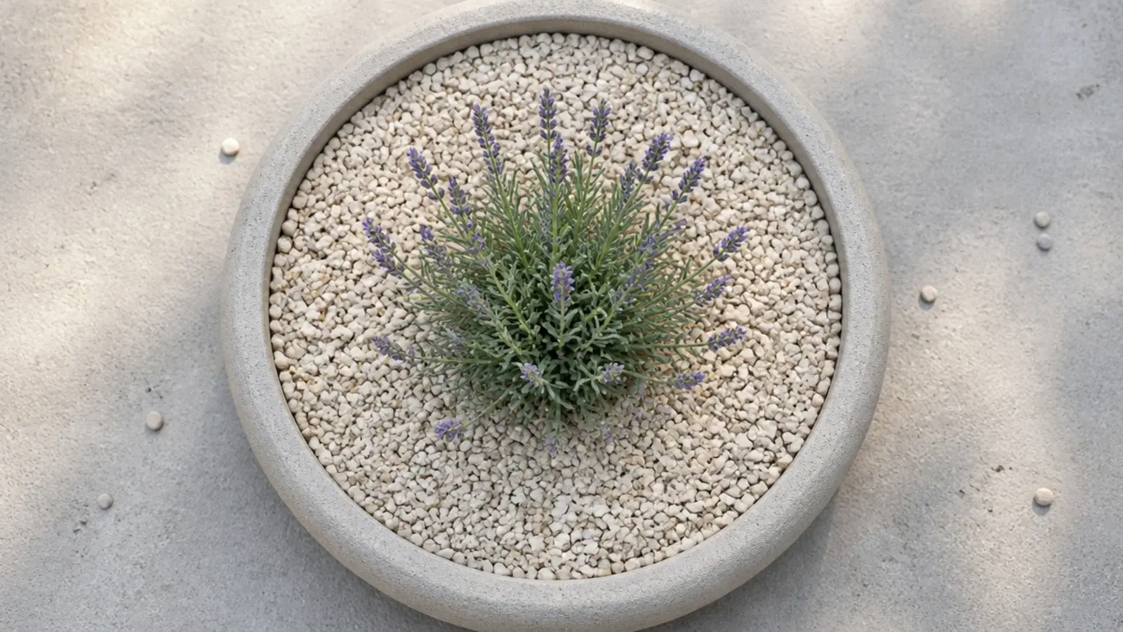 pale gravel mulch spread over the soil surface of a balcony planter
