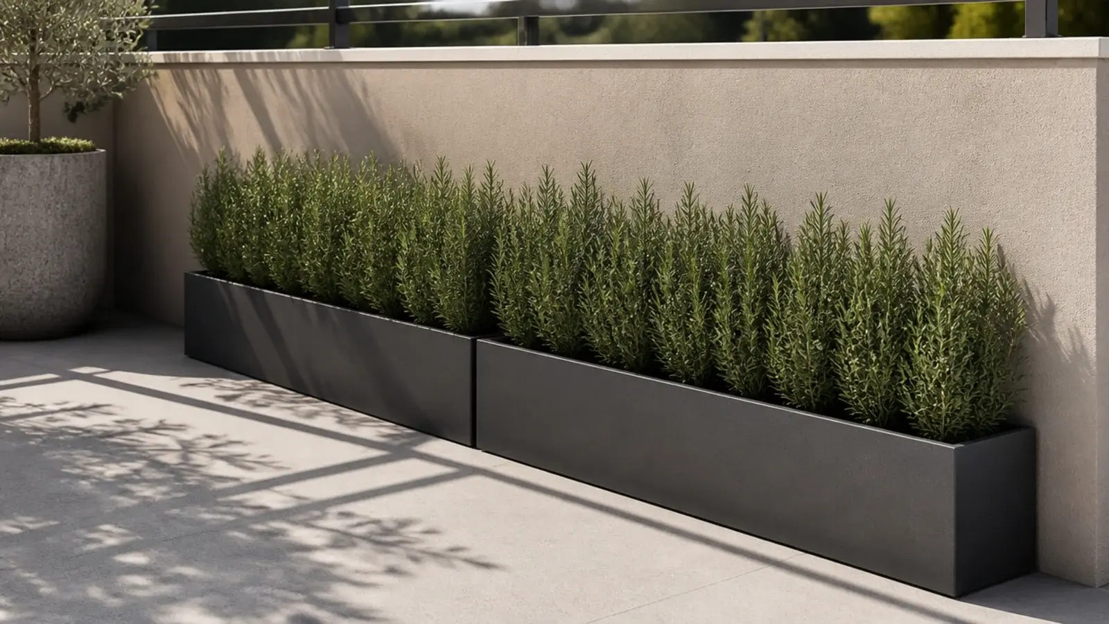 long rectangular trough planters sitting flush against a balcony wall