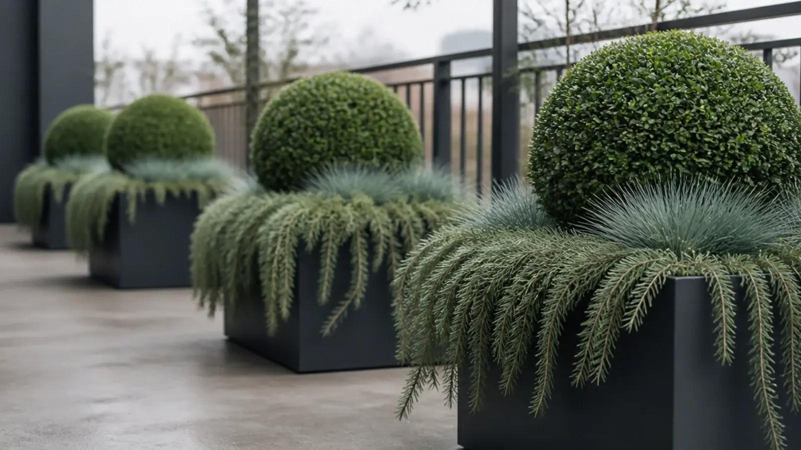 three plant species only repeated across a modern balcony arrangement