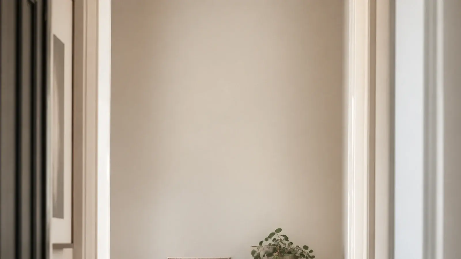 vertical hallway view of a mirrored shoe cabinet with brass pulls and plants