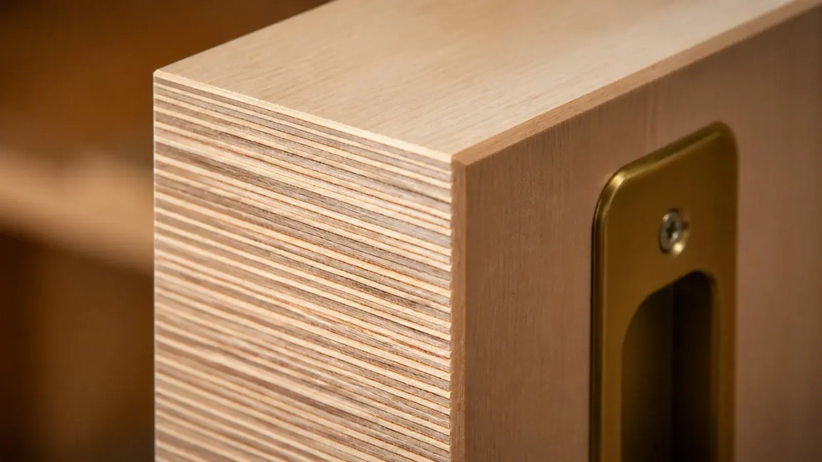 exposed birch plywood edge layers on a shoe cabinet door front