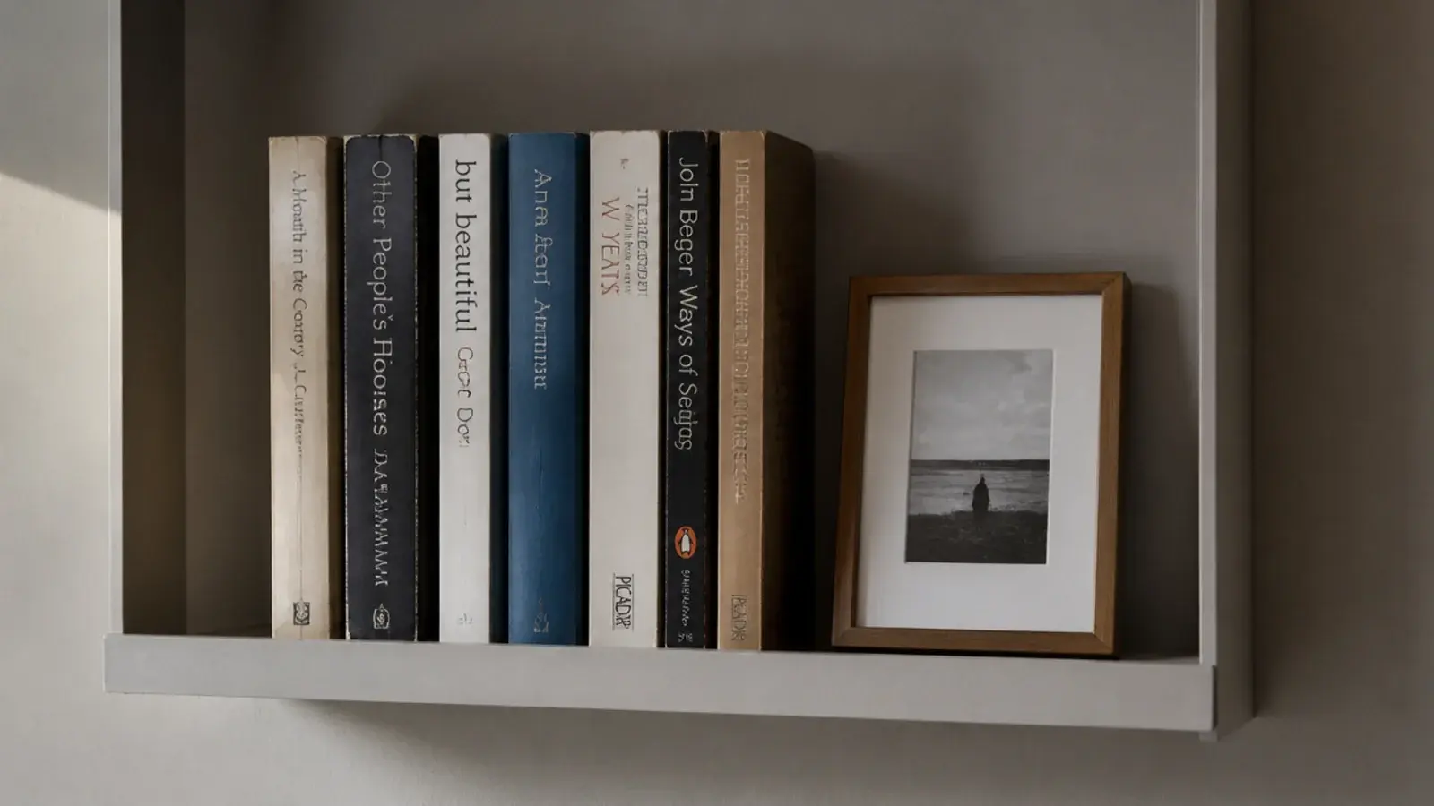 very shallow display bay holding upright books and a small frame