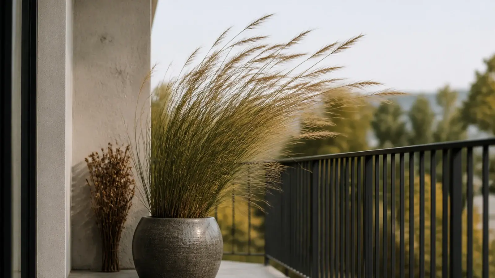 ornamental grasses moving in wind beside sheltered dried stems