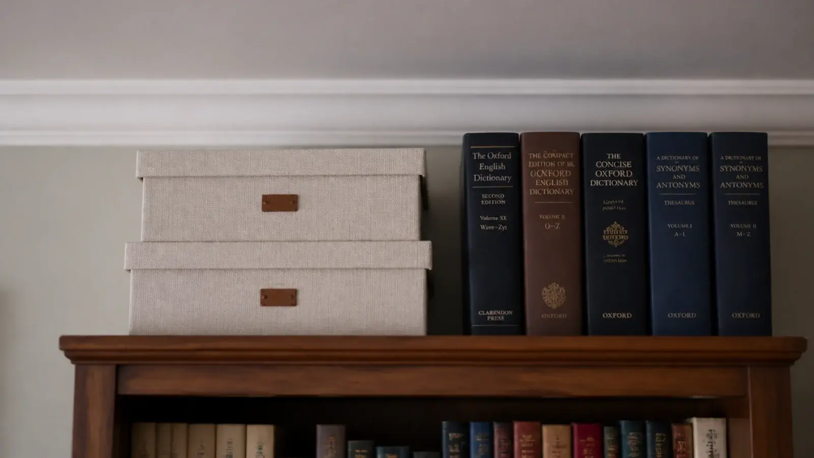 lidded boxes and seldom used volumes on the top shelf of a bookcase