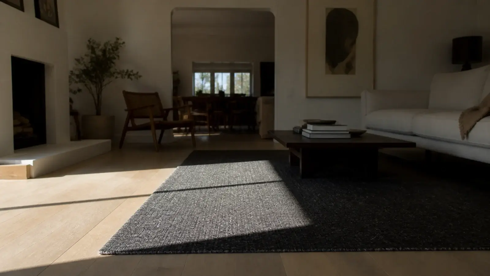 sunlit portion of a dark rug visibly lighter than the shaded half
