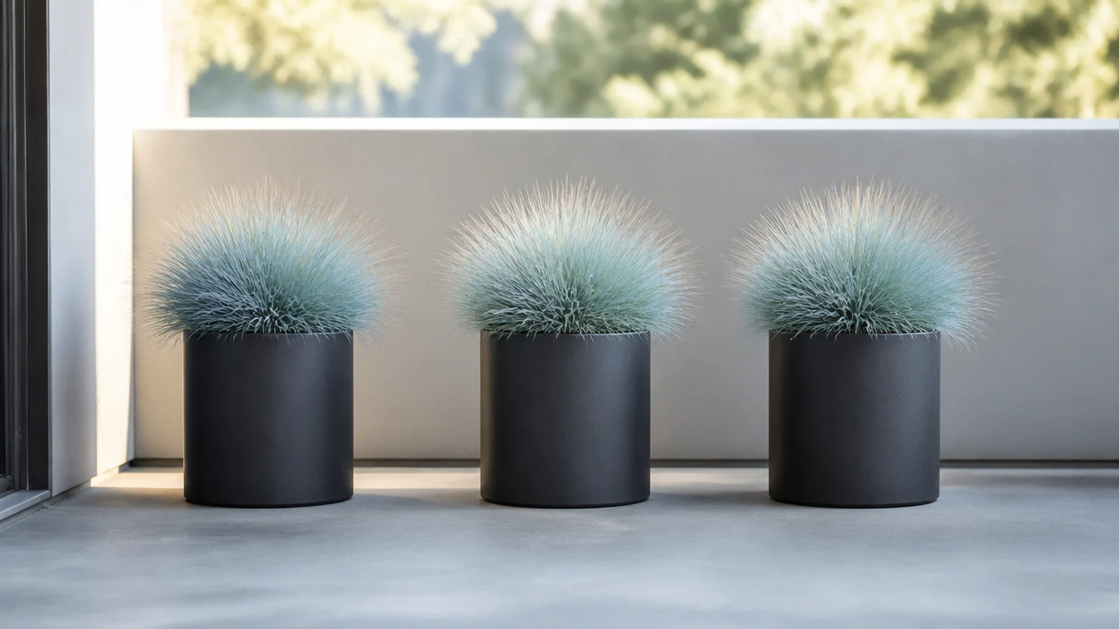three identical grasses repeated in matching pots along a balcony
