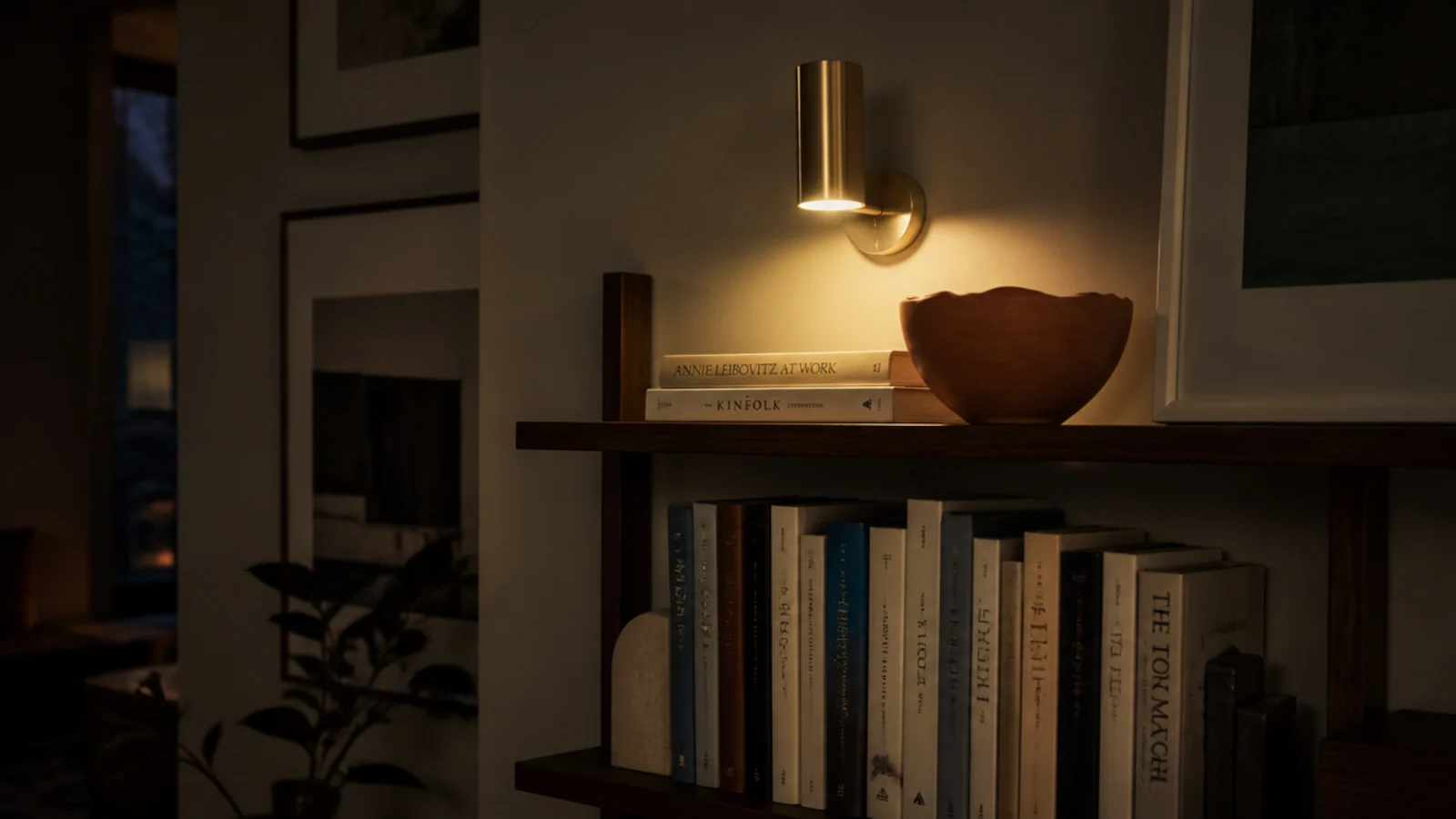 warm picture light illuminating previously dark built-in shelving