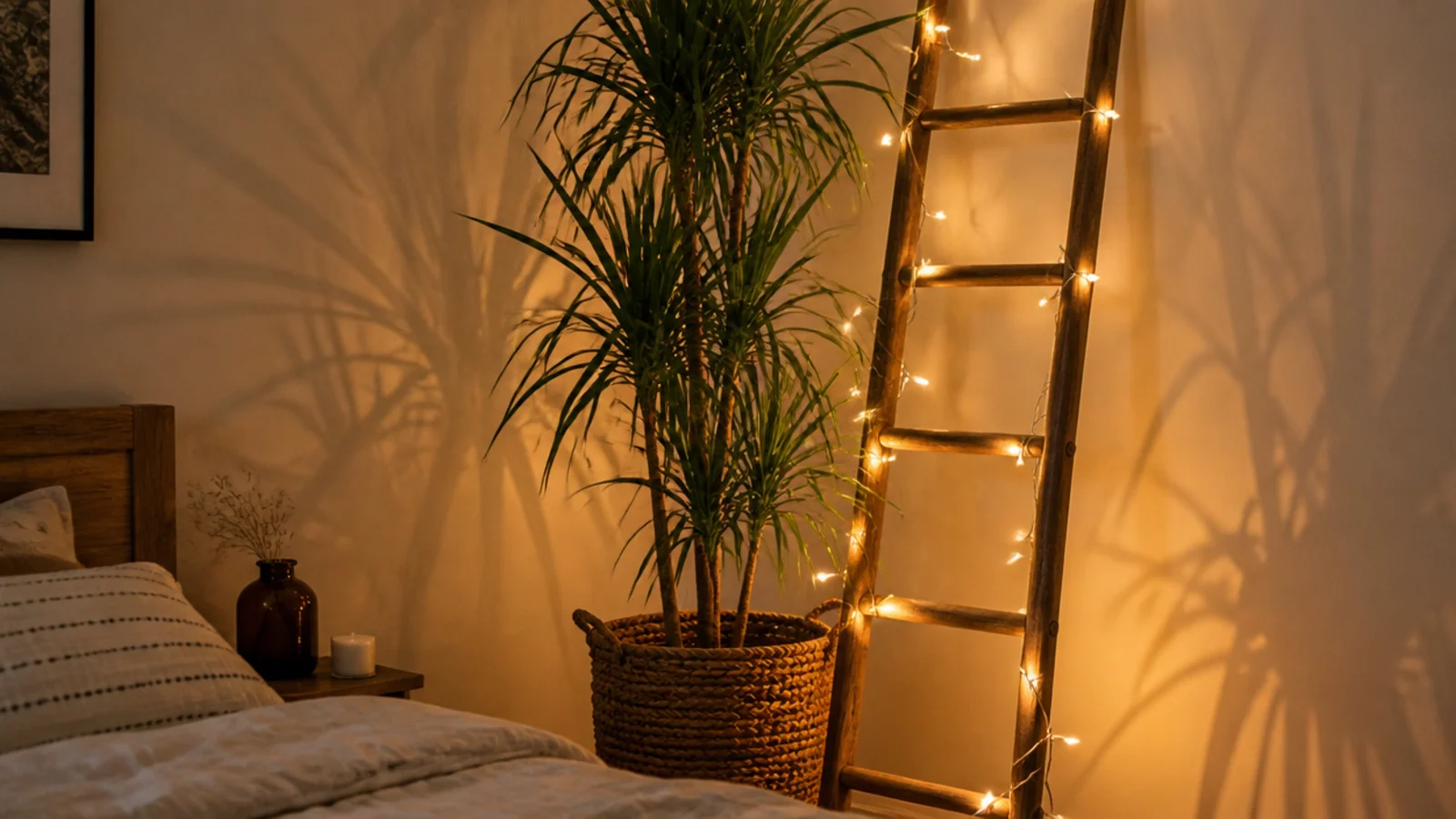tall plant and leaning ladder lit by a strand in a room corner