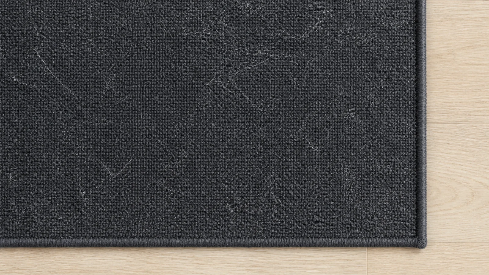 crumbs and pale lint scattered across a dark rug for comparison