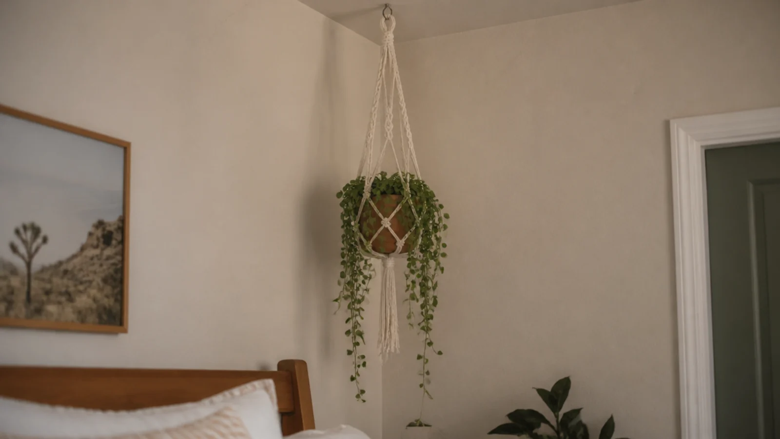 macrame plant hanger holding a faux trailing plant high on a wall