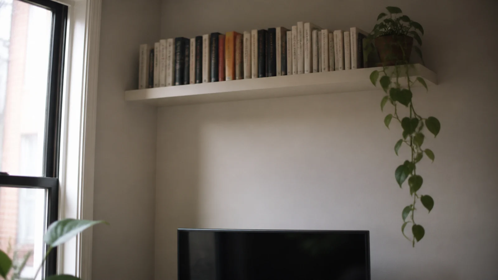 high shelf above a screen holding books and a small plant