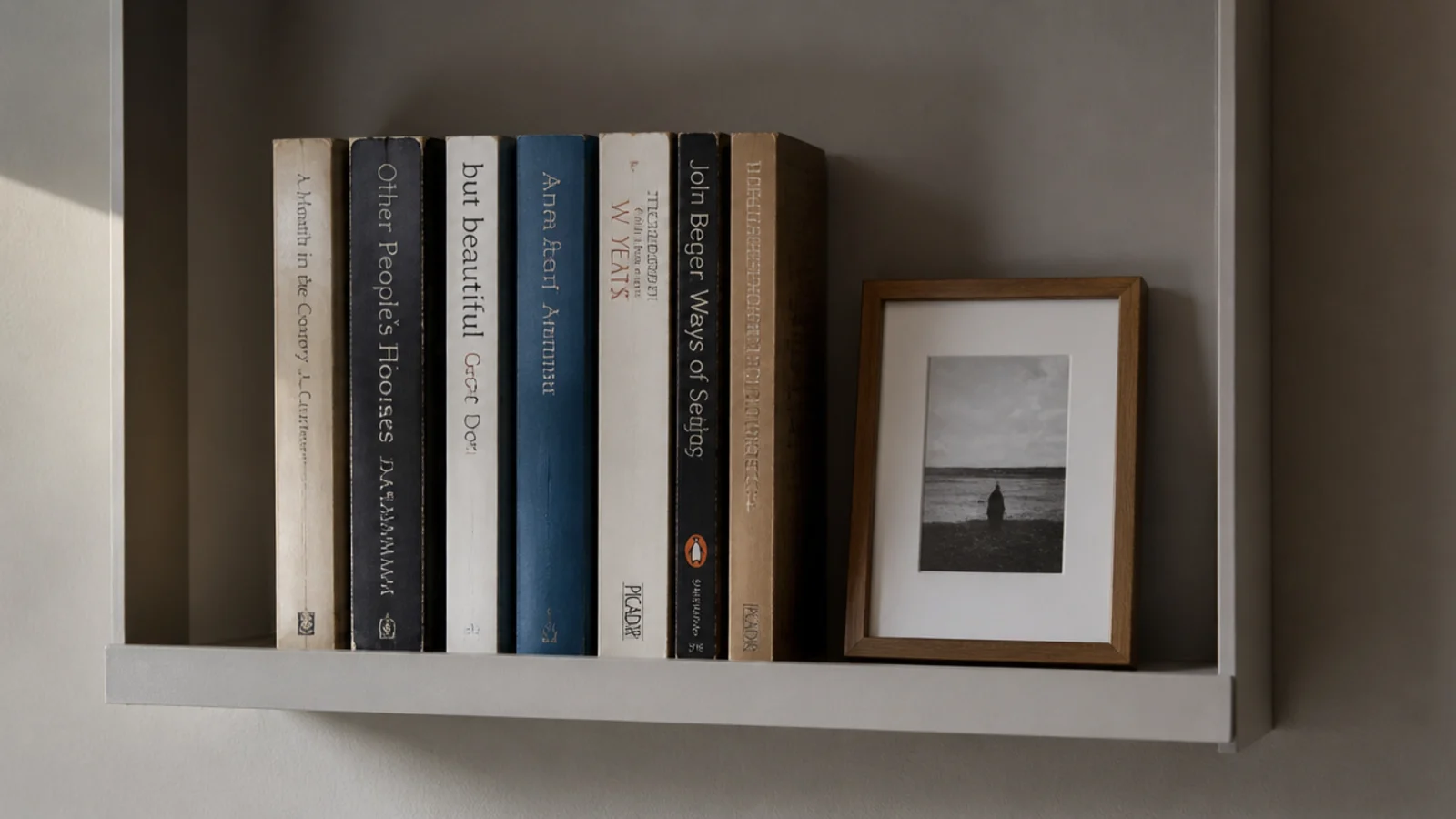 very shallow display bay holding upright books and a small frame